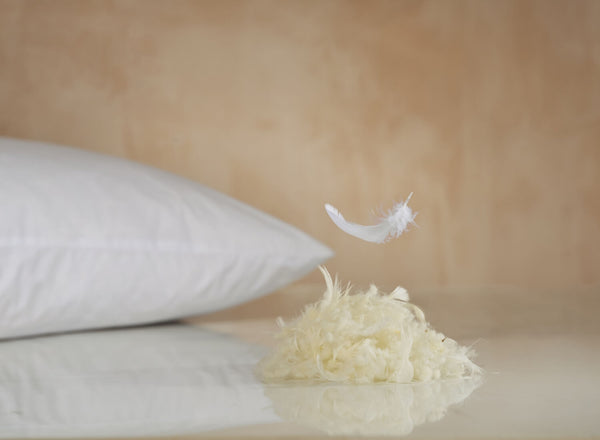 Hypnos Luxury Wool and Feather Pillow