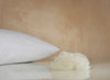 Hypnos Luxury Wool Pillow